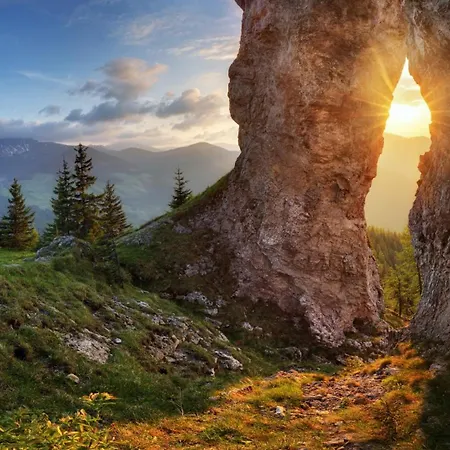 Stroemy Demaenovska Dolina Liptovský Mikuláš